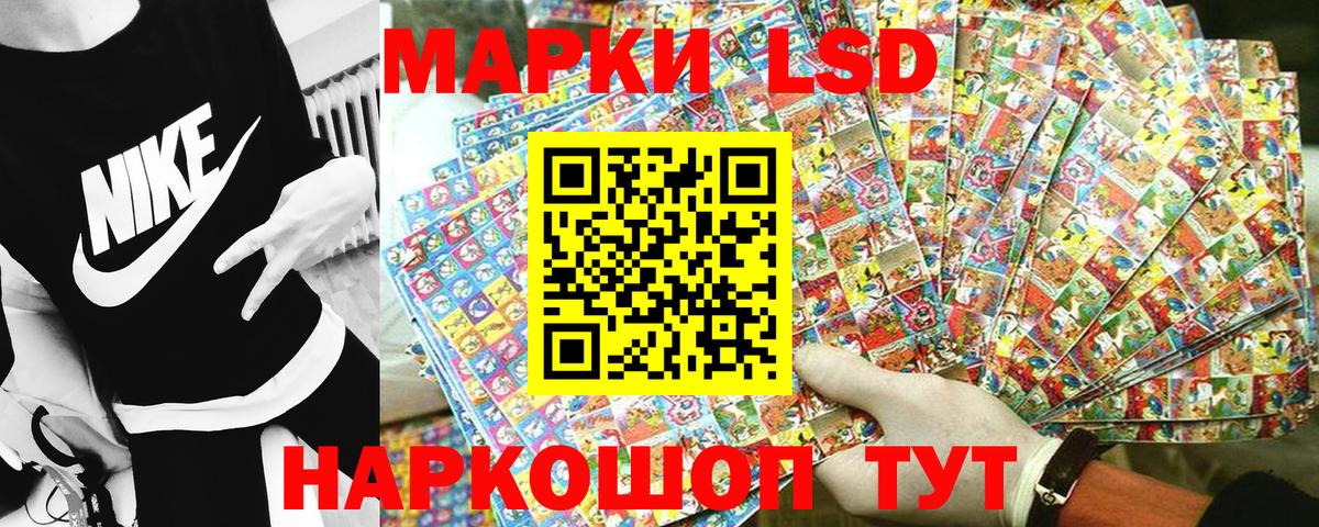 Галлюциногенные грибы Тамбов