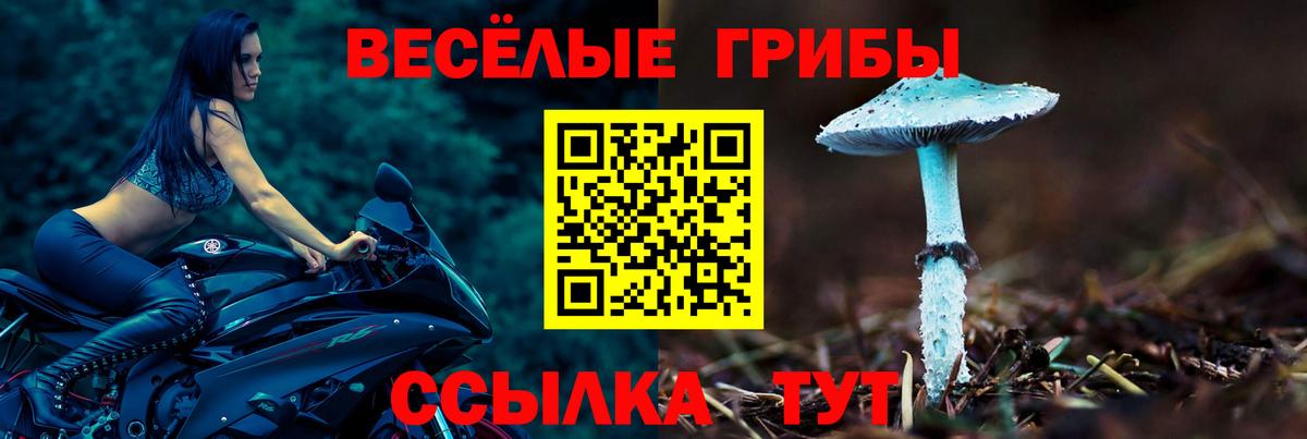 Псилоцибиновые грибы Cubensis  Галлюциногенные грибы мицелий  Вход с VPN  Тамбов 
